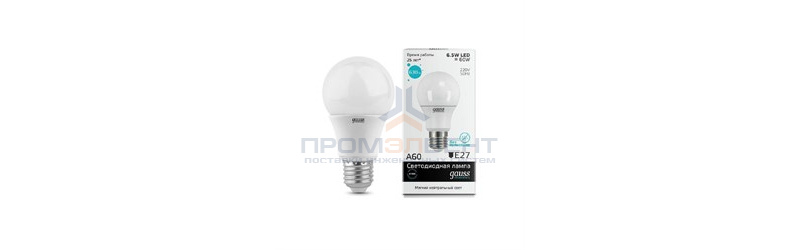 Лампа Gauss LED Elementary Globe 6.5W A60 E27 4100K 1/40