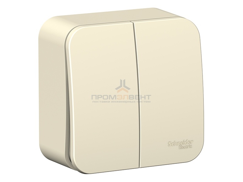 Выключатель 2-клавишный (cх.5) Blanca Schneider Electric 6А 250В молочный