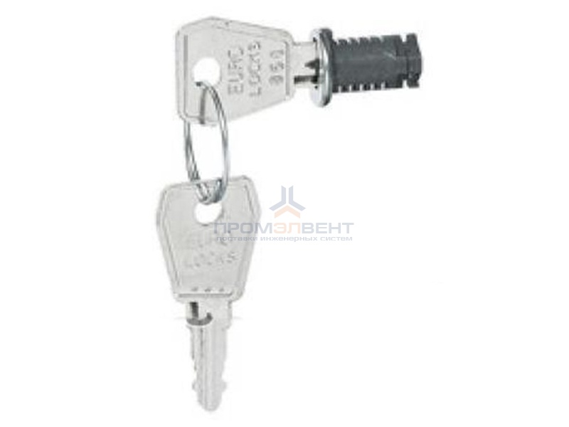 Замок с ключом для шкафов Legrand Plexo IP65 и Practibox